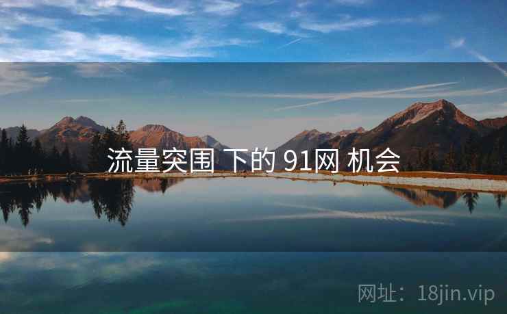 流量突围 下的 91网 机会