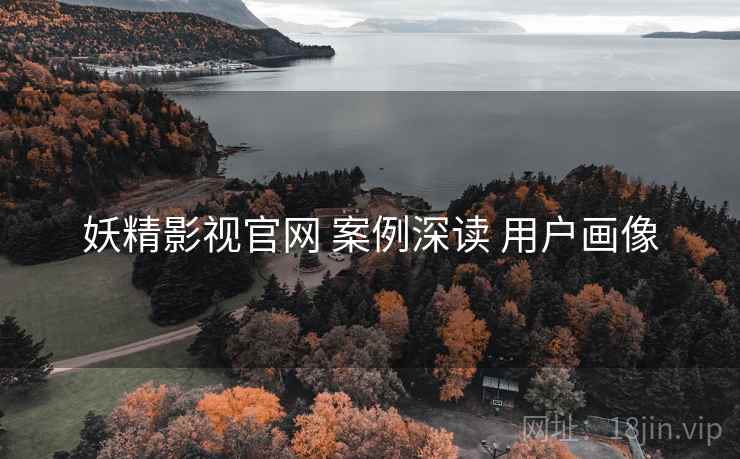 妖精影视官网 案例深读 用户画像