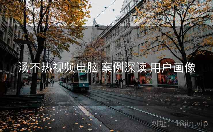 汤不热视频电脑 案例深读 用户画像