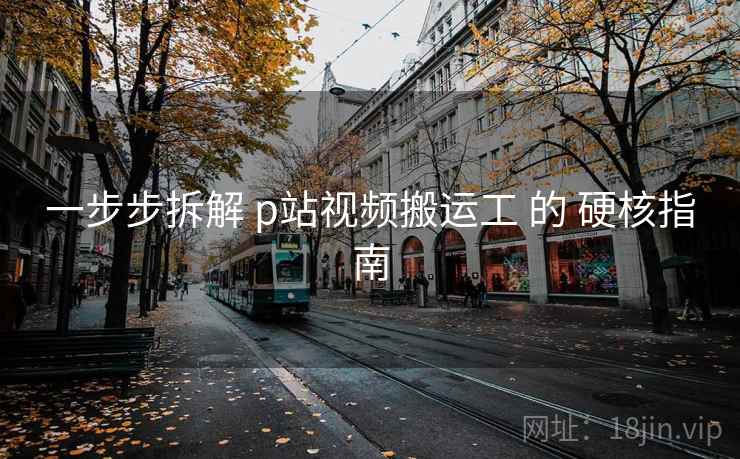 一步步拆解 p站视频搬运工 的 硬核指南