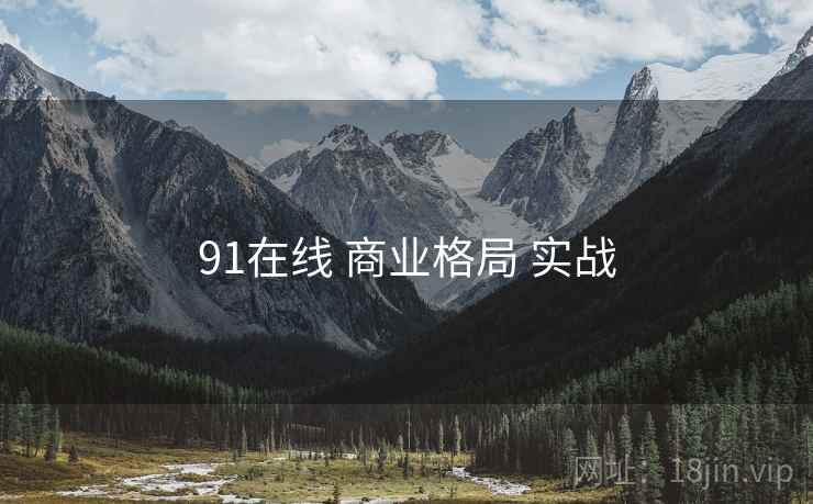 91在线 商业格局 实战