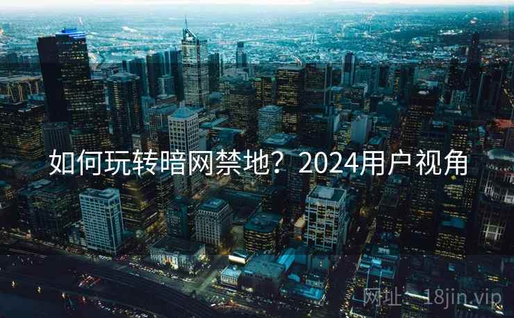 如何玩转暗网禁地？2024用户视角