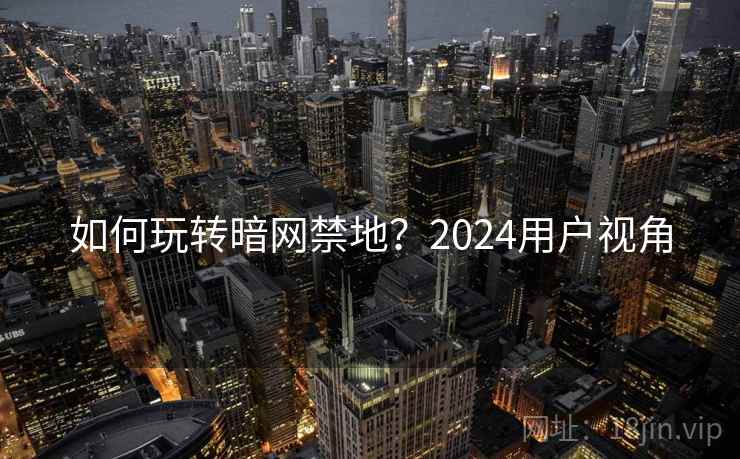 如何玩转暗网禁地?2024用户视角