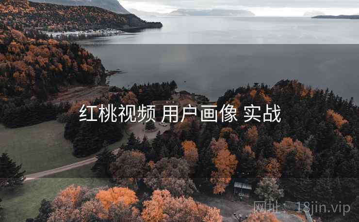 红桃视频 用户画像 实战