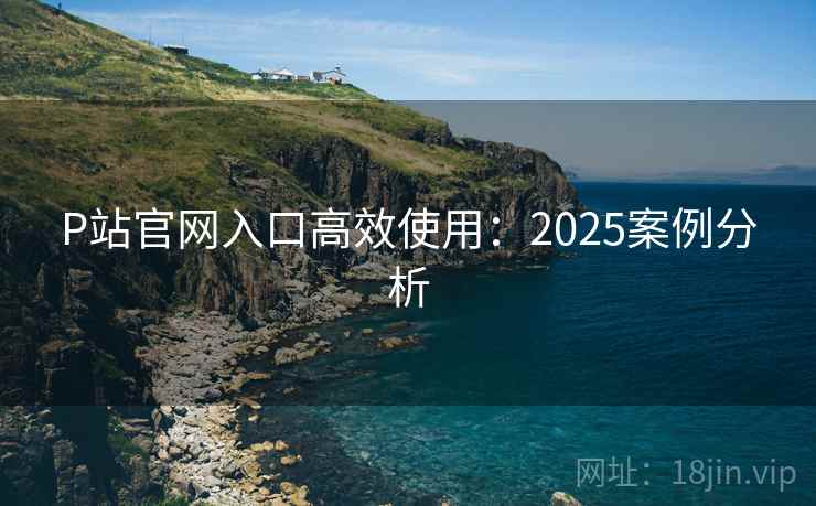 P站官网入口高效使用：2025案例分析