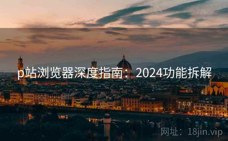 p站浏览器深度指南:2024功能拆解