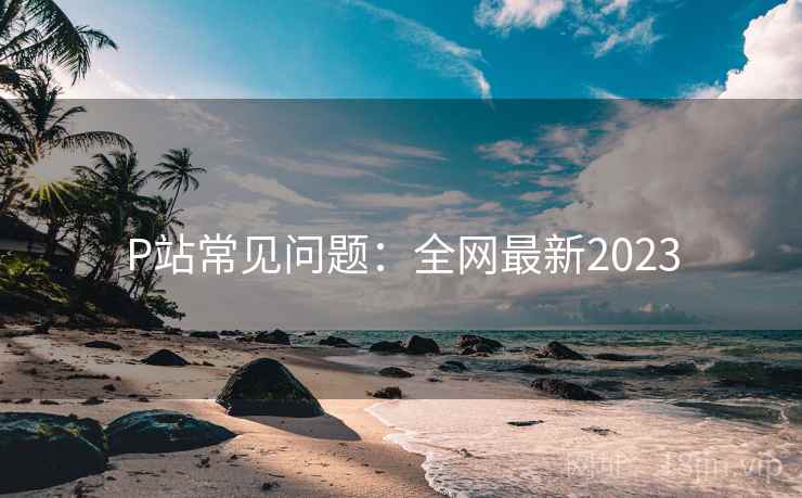 P站常见问题:全网最新2023