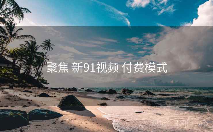 聚焦 新91视频 付费模式