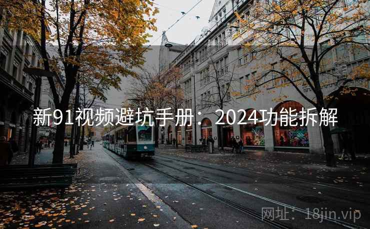 新91视频避坑手册:2024功能拆解