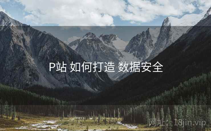 P站 如何打造 数据安全